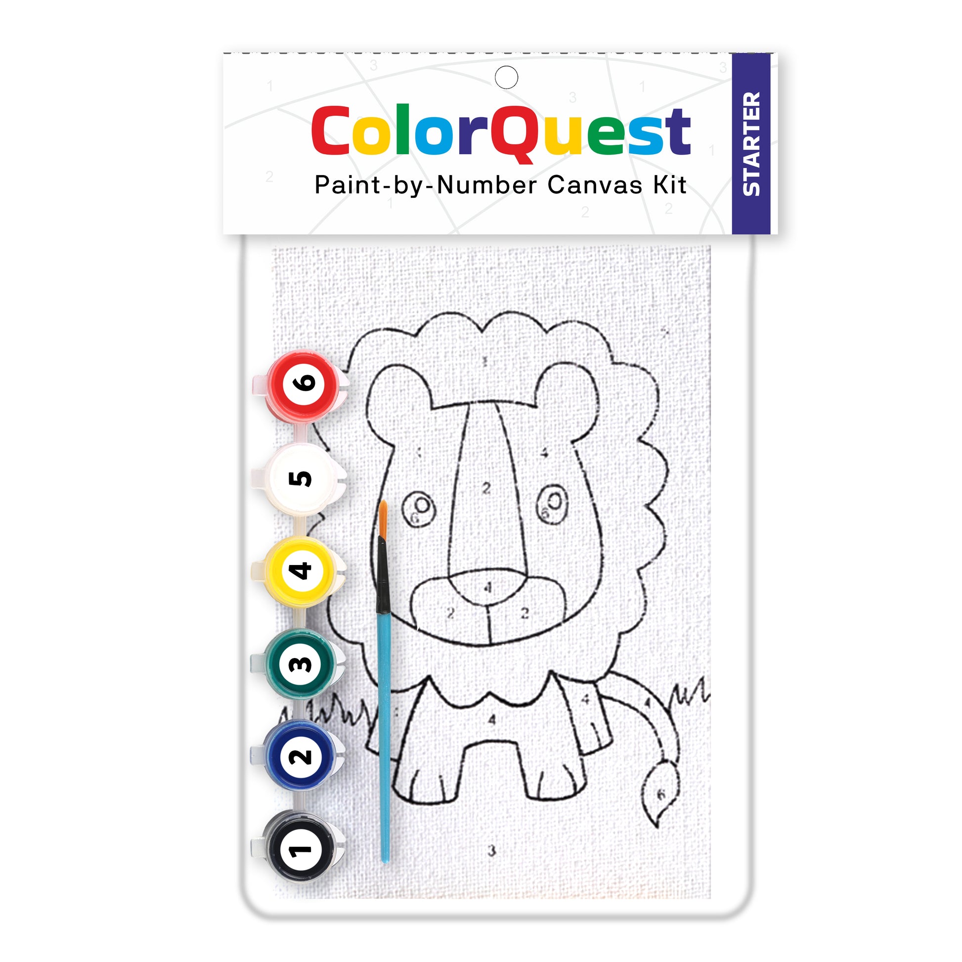 paint by number canvas kit starter kit